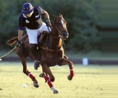 Play polo in Argentina